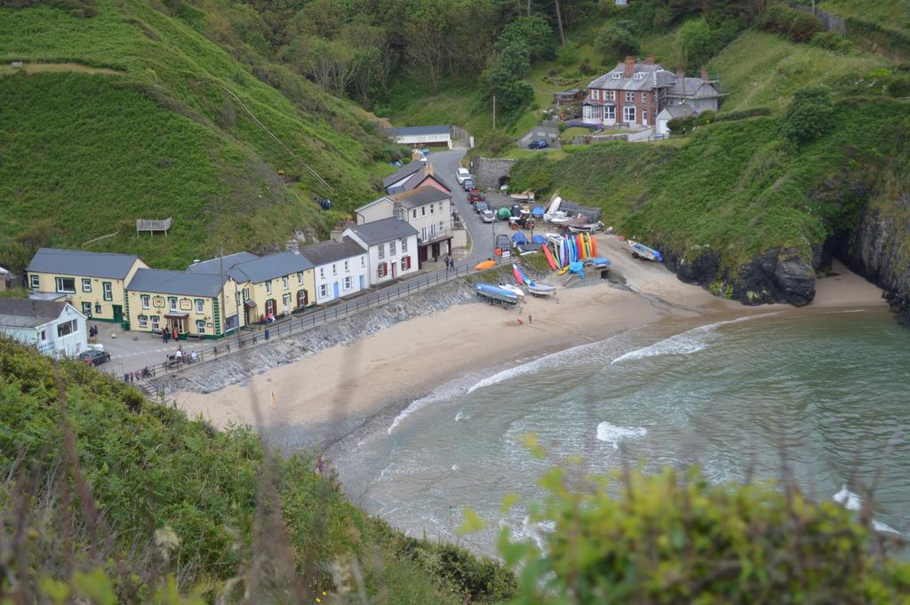 Troedyrhiw Bed & Breakfast Cardigan Exteriör bild